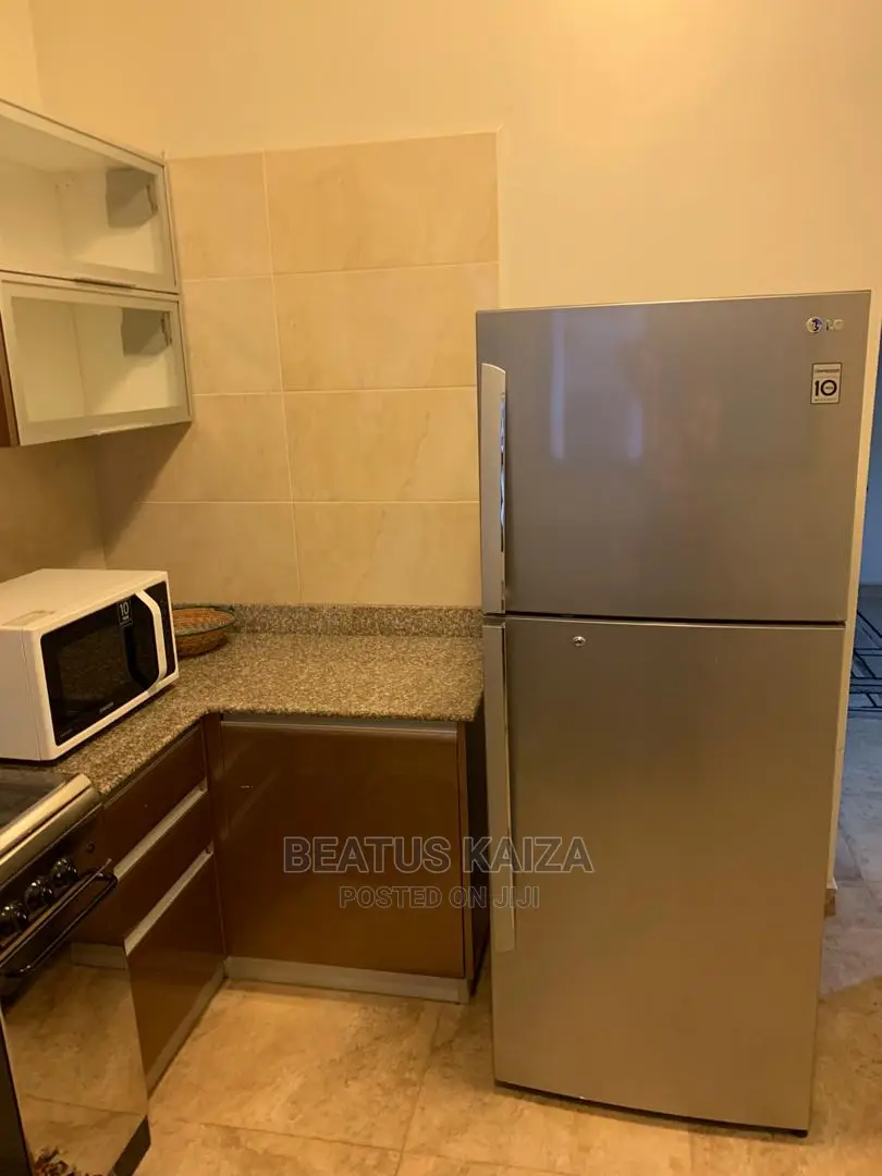 Furnished 3bdrm Block of Flats in Upanga Mindu Street for Rent