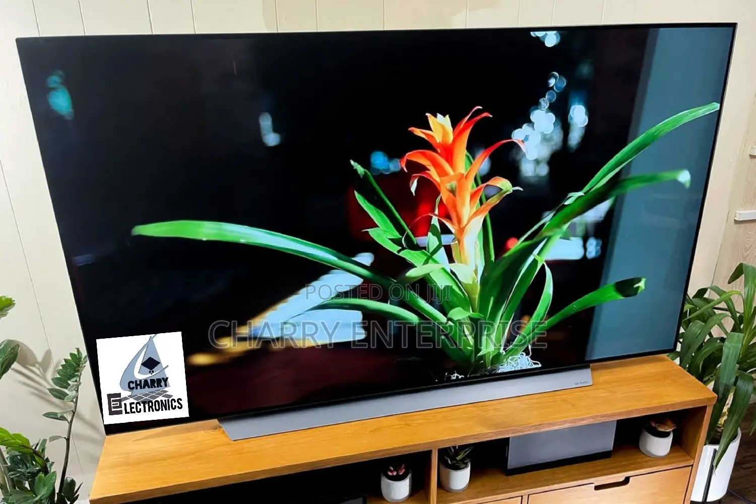 LG OLED Tv C1 OLED Display Thinq Al 55 Inch C1
