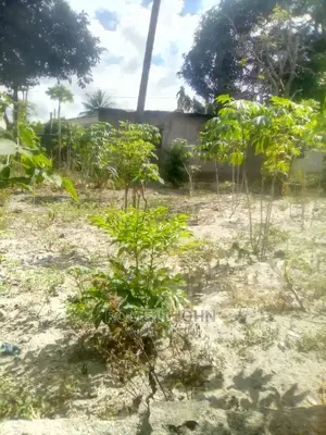 Eneo Kibiashara Linauzwa Milioni 93,000,000