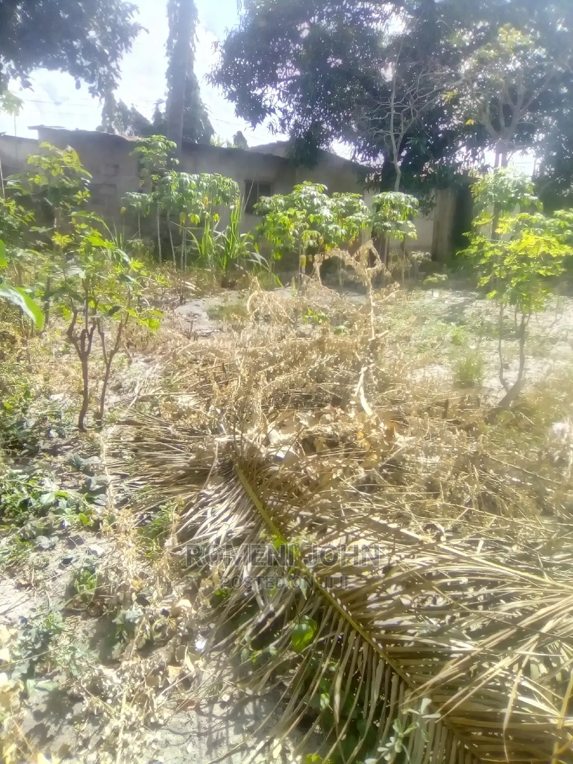 Eneo Kibiashara Linauzwa Milioni 93,000,000
