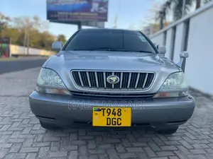 Toyota Harrier 2004 Gray