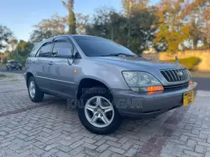 Toyota Harrier 2004 Gray