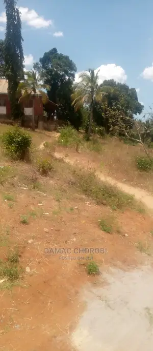 Qmt 400 Kibamba Bei