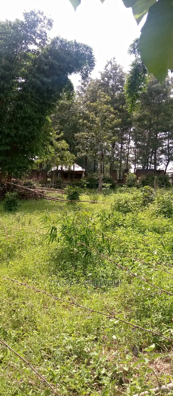 Acre 50000 for Sale Morogoro
