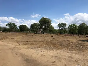 Acre 50000 for Sale Morogoro