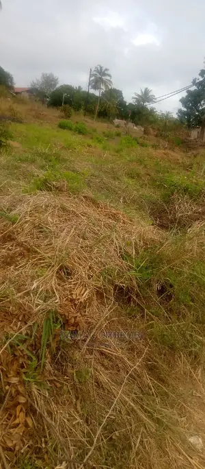 Acre 1000 Morogoro