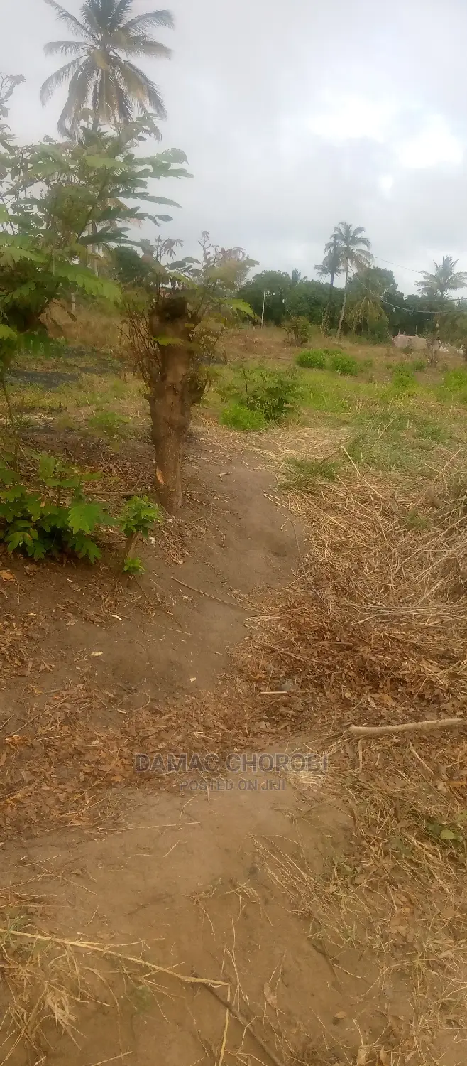 Acre 1000 Morogoro