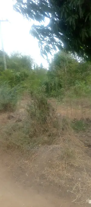 Acre 5000 for Sale Mbwewe