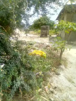 Kiwanja Kinauzwa Milioni Kumi Na Mbili Na Laki Tano.