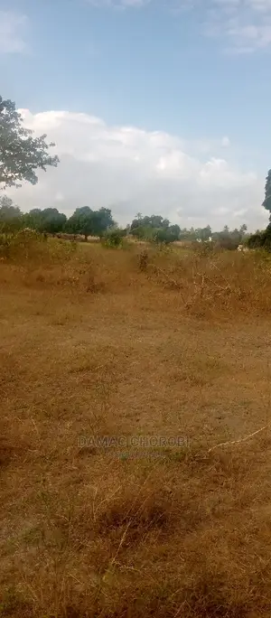 Acre 9 Bagamoyo Mjini for Sale