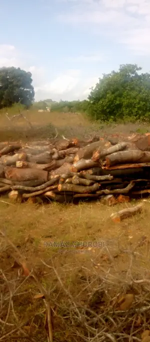 Acre 5 for Sale Bagamoyo Milion 60