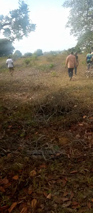 Acre 5 for Sale Bagamoyo Milion 60