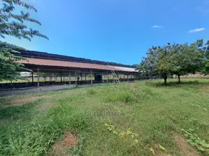 Mradi Wa Mabanda Ya Kuku Unauzwa