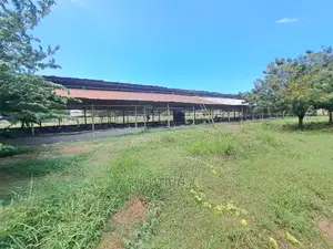 Mradi Wa Mabanda Ya Kuku Unauzwa