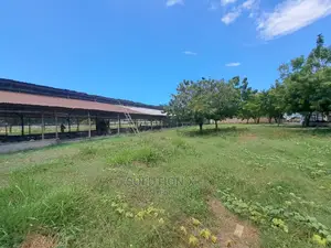 Mradi Wa Mabanda Ya Kuku Unauzwa