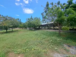 Mradi Wa Mabanda Ya Kuku Unauzwa