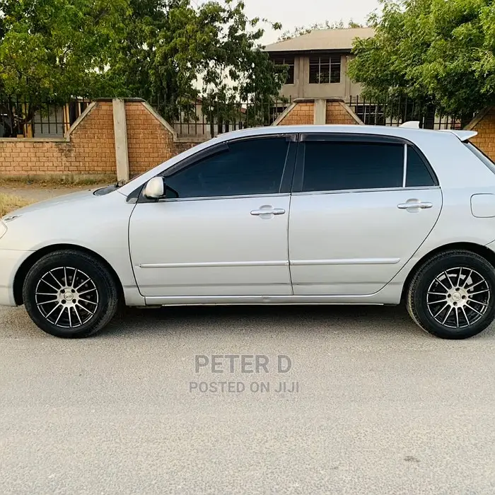 Toyota Allex 2003 Silver