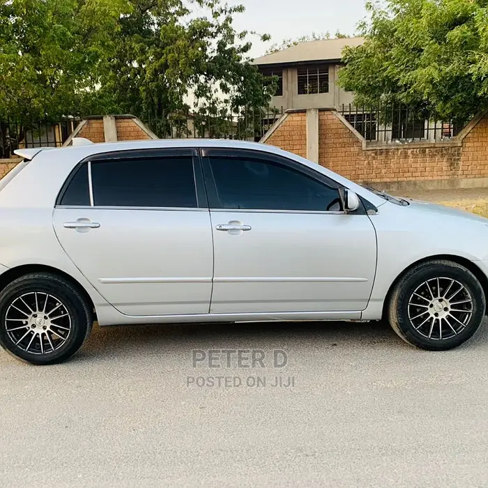 Toyota Allex 2003 Silver