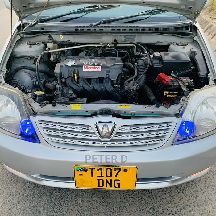 Toyota Allex 2003 Silver