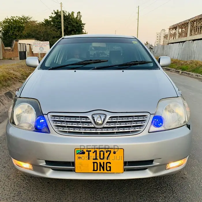 Toyota Allex 2003 Silver