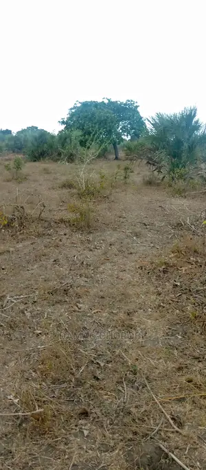 Acre 15 Bagamoyo Mjini for Sale