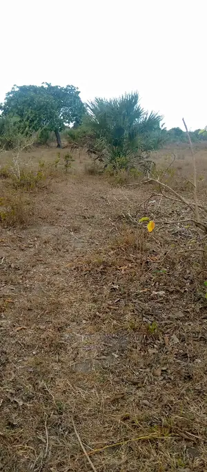 Mashamba Bora Kwa Kilimo Loction Mbwewe Bagamoyo