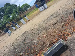 Eneo Linauzwa Bagamoyo Mjini Round About