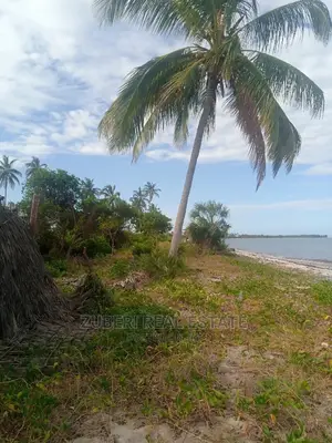 Beach Plot for Long Term Rental