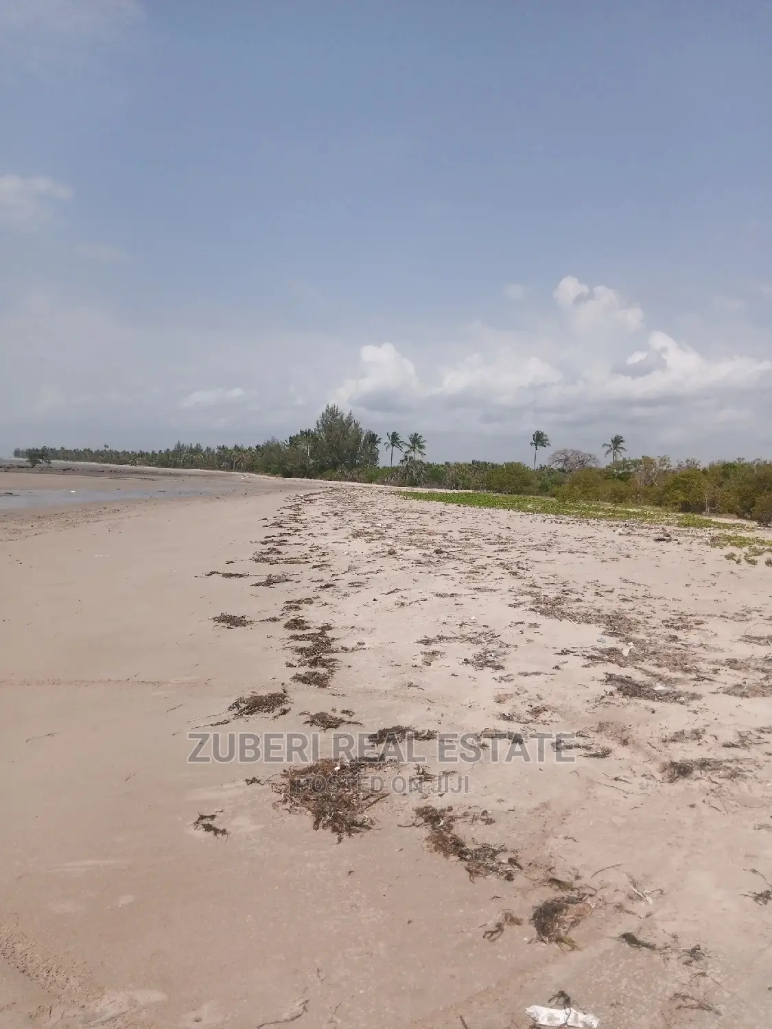 Mkwaja Beach Plot for Sale.