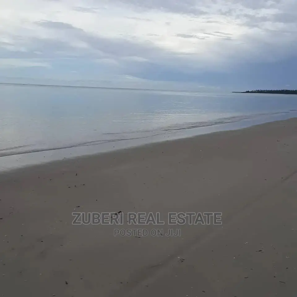 Mkwaja Beach Plot for Sale.