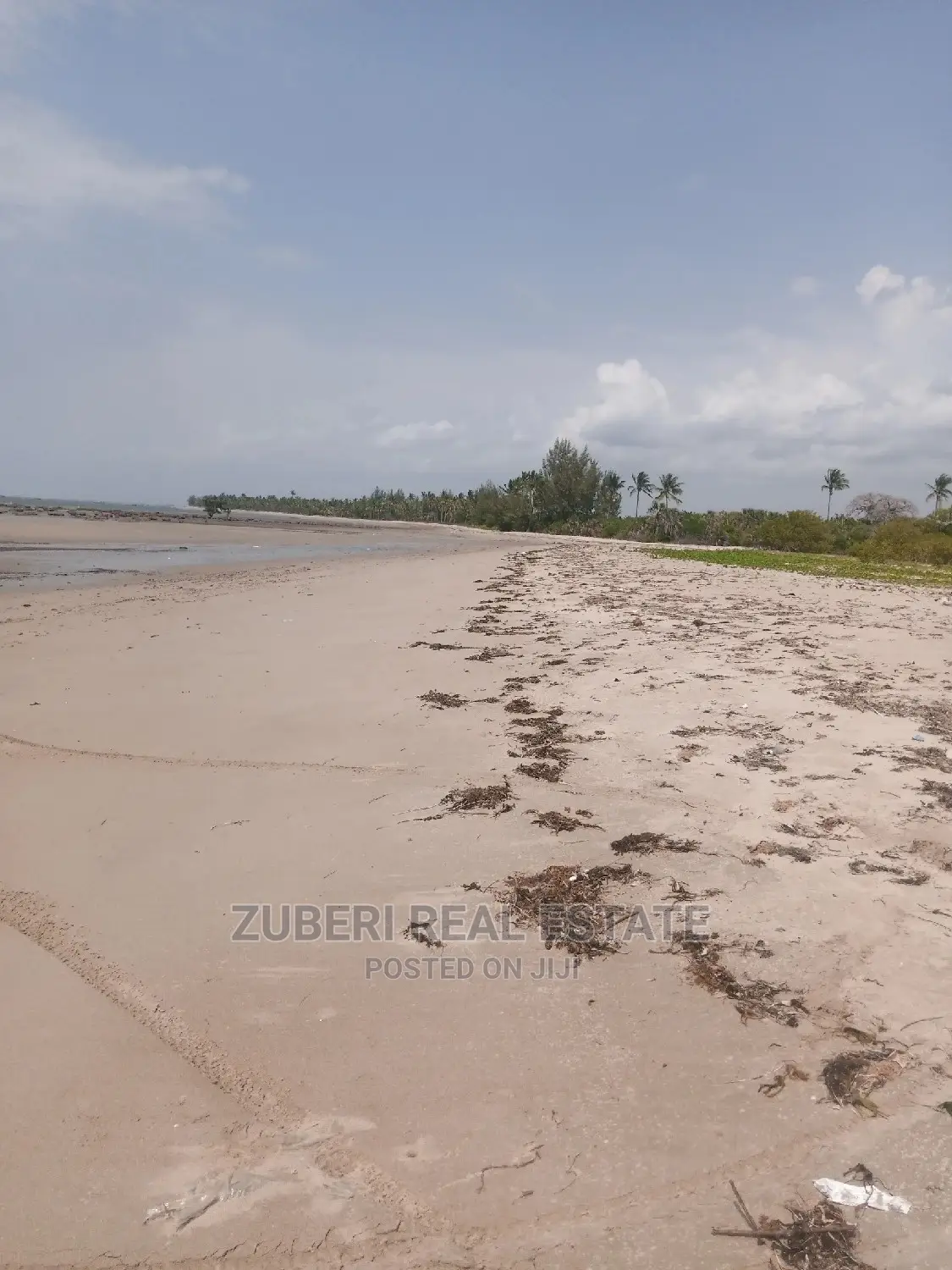 Mkwaja Beach Plot for Sale.