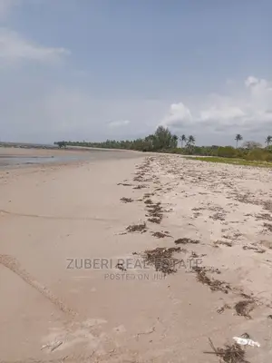 Mkwaja Beach Plot for Sale.