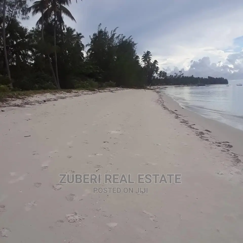 Mkwaja Beach Plot for Sale.