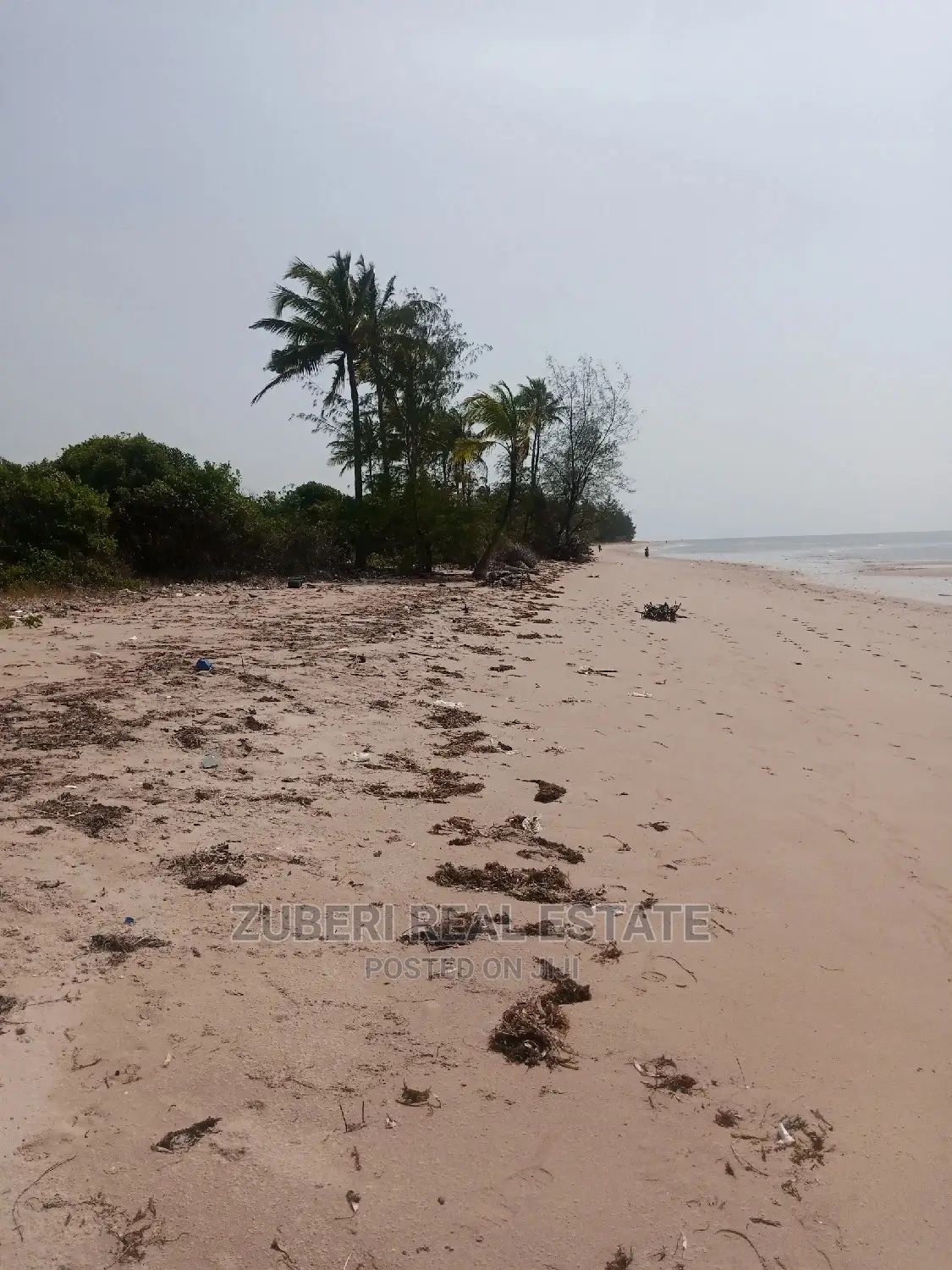 Mkwaja Beach Plot for Sale.