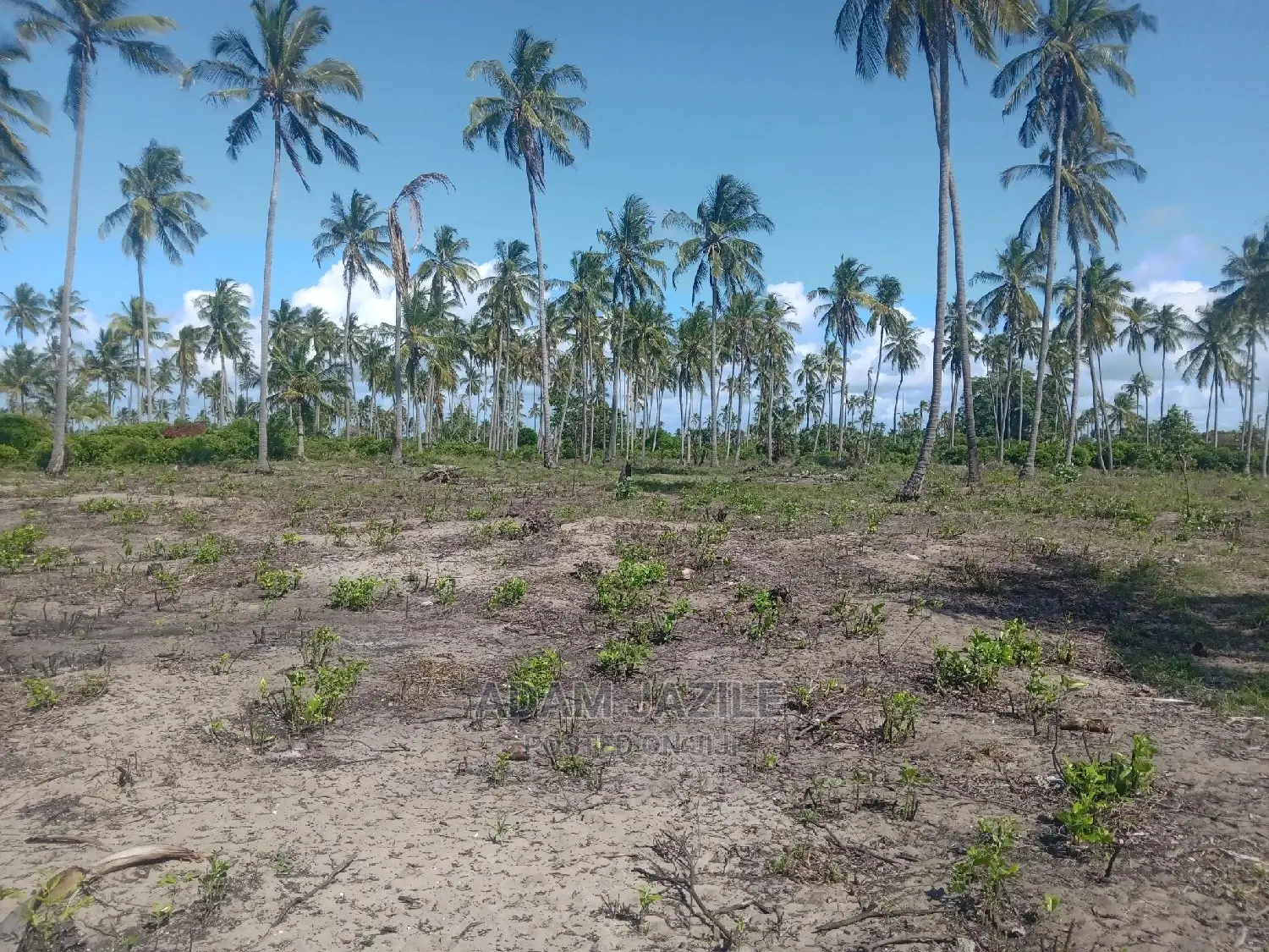 Nauza Beach Prot Mkwaja Pangani Inauzwa