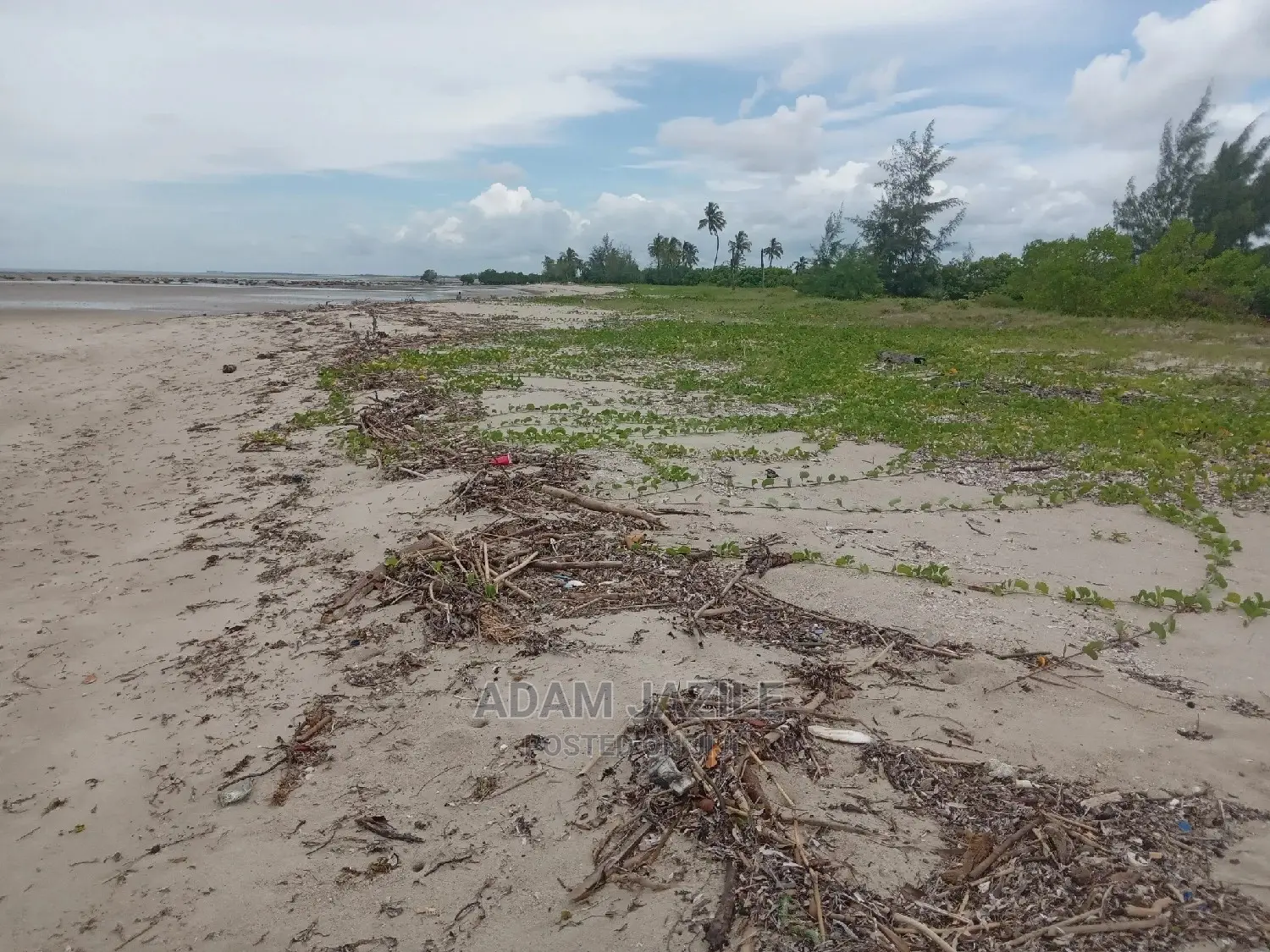 Nauza Beach Prot Mkwaja Pangani Inauzwa