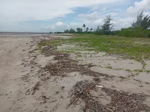 Nauza Beach Prot Mkwaja Pangani Inauzwa