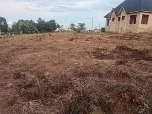 Qmt 3000 Pangani Kibaha Kilomita 2 Tu Kutoka Morogoro Road