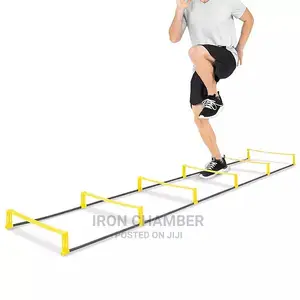 Agility Ladder