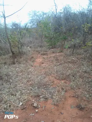 Shamba Linauzwa Handeni