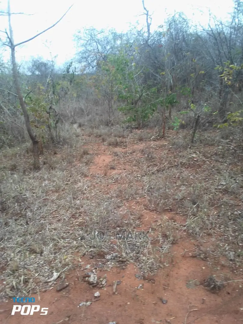 Shamba Linauzwa Handeni