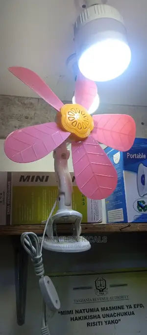 Electrical Fan