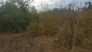 Jipatie Mashamba Makubwa Kwa Kilimo Cha Kumwagilia