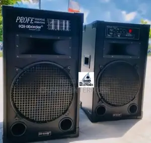 Aborder Speaker Mziki Mkubwa DJ SPEAKERS With Mic
