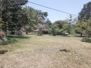 2800 Sqm Plot for Sale at Burka