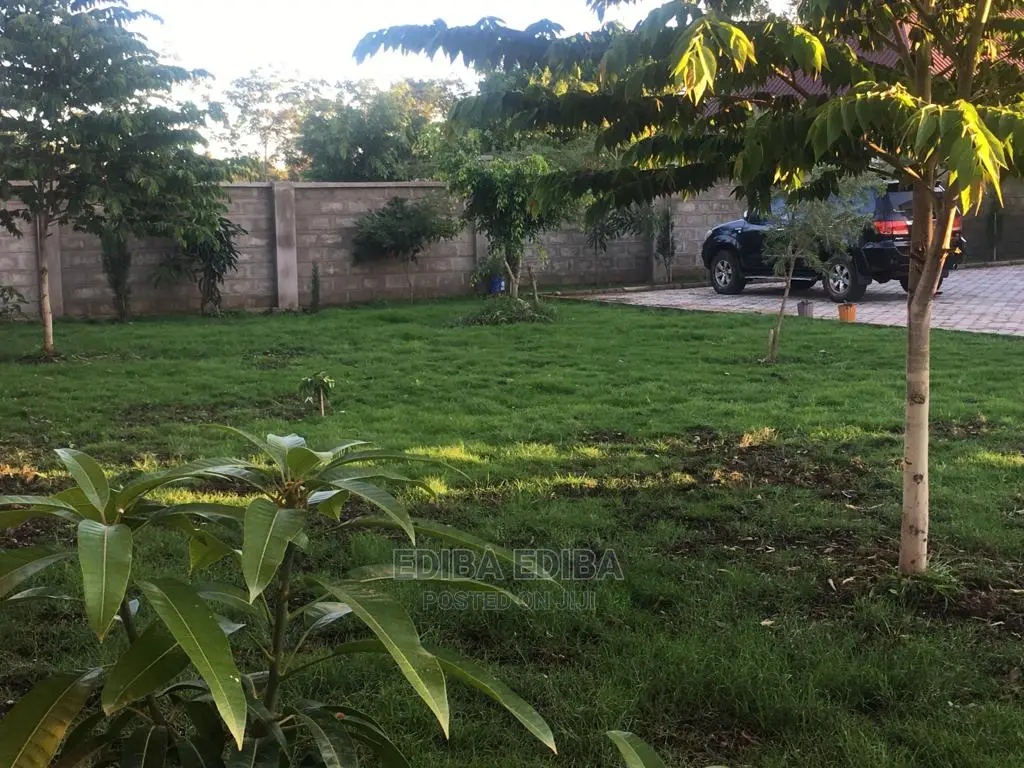 2800 Sqm Plot for Sale at Burka