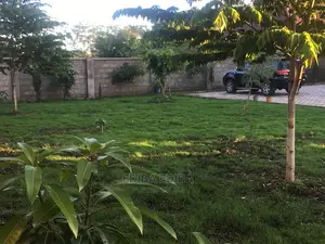 2800 Sqm Plot for Sale at Burka