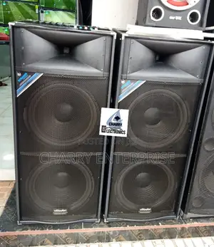 Villiodor Professional Speakers BIG SOUND