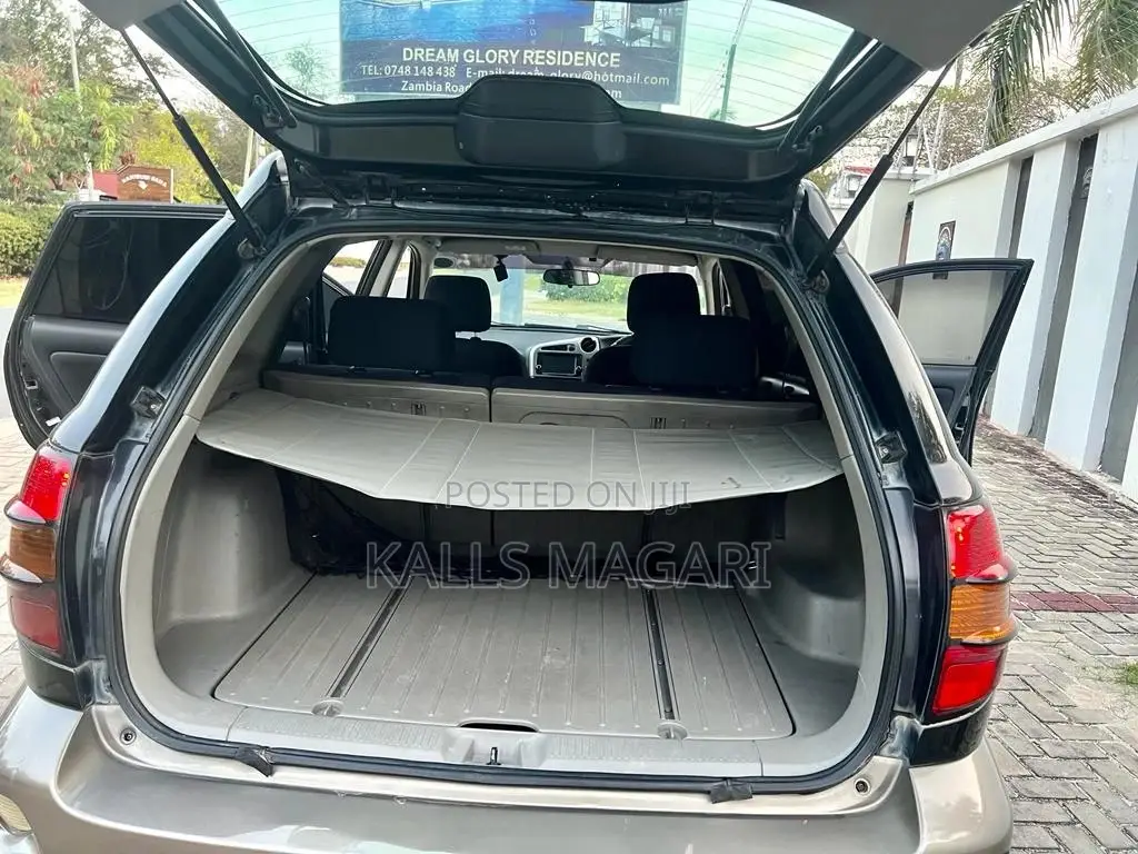 Toyota Voltz 2004 Black