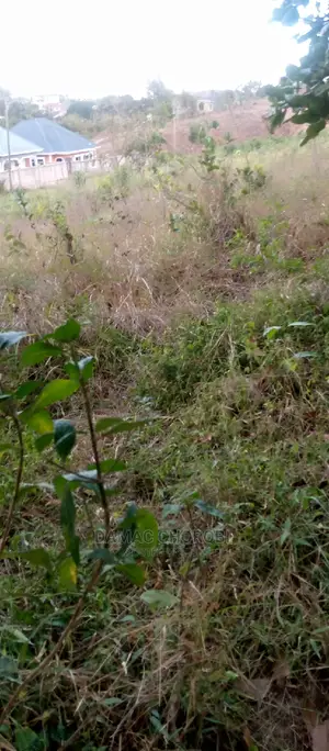 Acre 1000 for Sale Mvomero